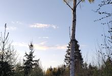 Šivaru dižakmens景点图片