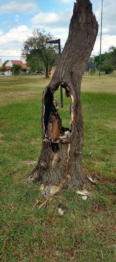 Naciones Park-科尔多瓦