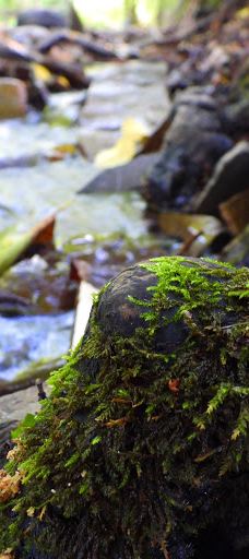 Park Cygański Las w Bielsku-Białej-别尔斯克 比亚瓦