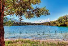 Oasi Dei Cigni景点图片