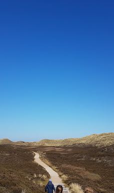 Aussichtspunkt „Dünenbalkon“ der Naturschutzgemeinschaft (NSG) Sylt bei List-里斯特