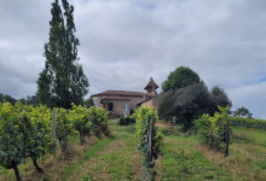 Église Saint-Etienne景点图片