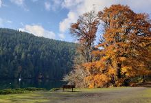 Tod Inlet Trailhead景点图片
