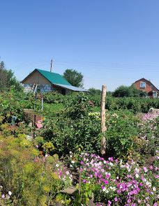 Gosudarstvennyy Prirodnyy Zakaznik Kamennaya Step'-塔洛瓦亚区