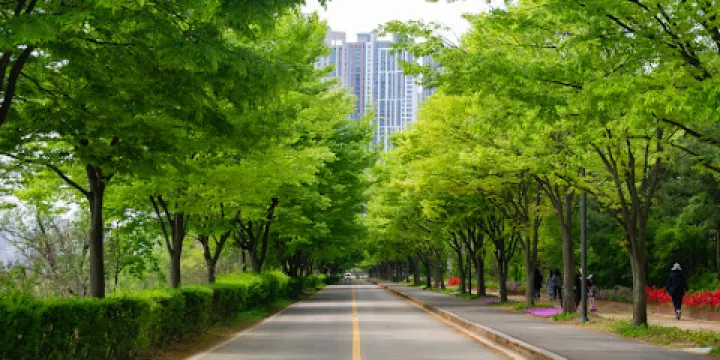 安山蘆葦濕地公園