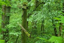 Monroe Outlook Trailhead景点图片