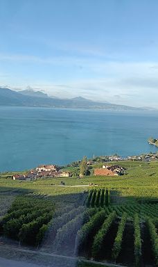 Terrasses viticoles de Lavaux-Lavaux-Oron District