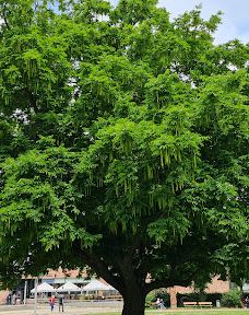 Museum Roter Turm-开姆尼茨