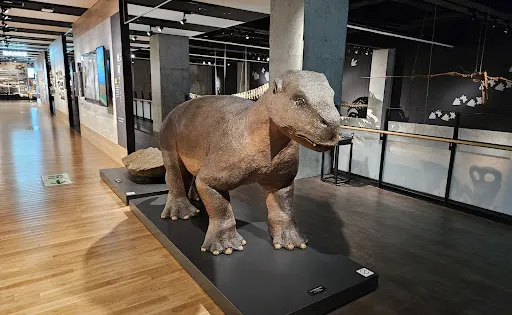 Goshoura Cretaceous Museum
