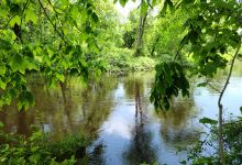 Wildlands Trust - Great River Preserve景点图片