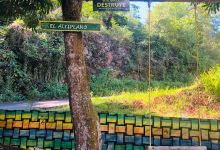 El Altiplano景点图片