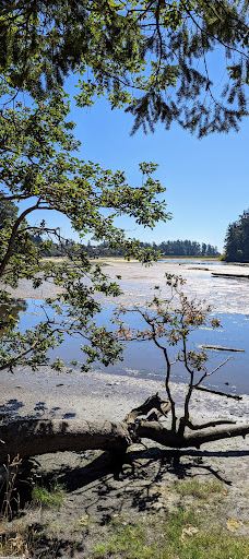 Witty's Lagoon Regional Park-首府地区