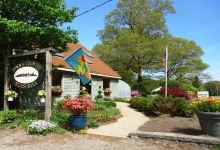 Town & Country Nurseries and Florist购物图片