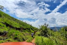 Red Soil View Point景点图片