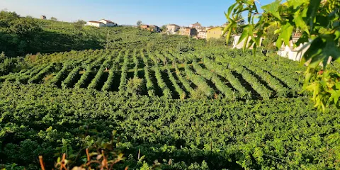 Bastia Valdobbiadene