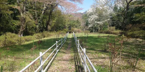 小川城址