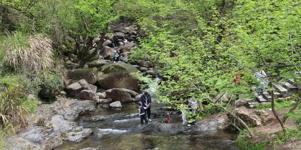 永安旅遊