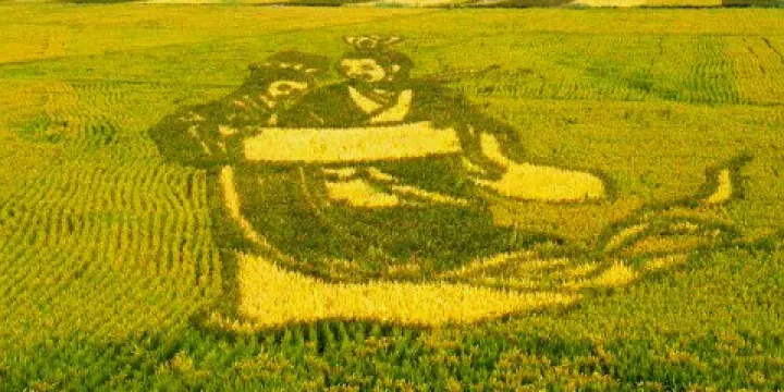 紅海灘風景旅遊區-蘆花盪