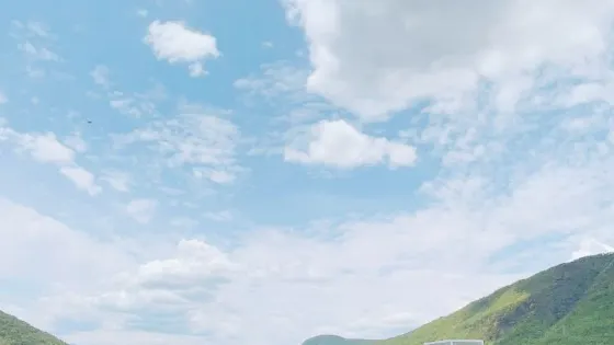 夢幻花海