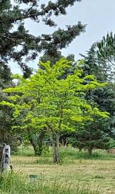 Camping Clairac-贝济耶