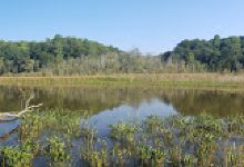 American Chestnut Land Trust Prince Frederick Trailhead景点图片