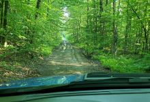 Algonquin State Forest景点图片