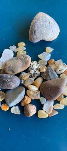 Fogarty Creek Beach-林肯县