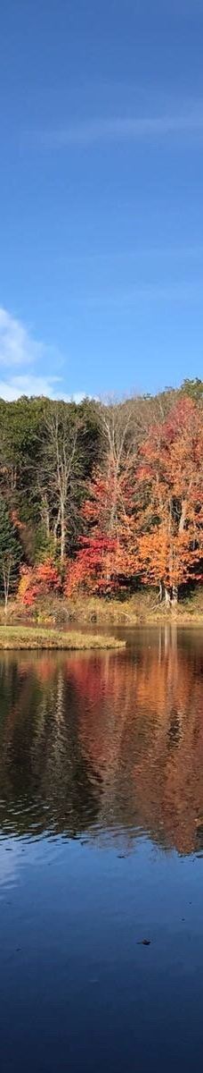 阿科底亚国家公园-沙山