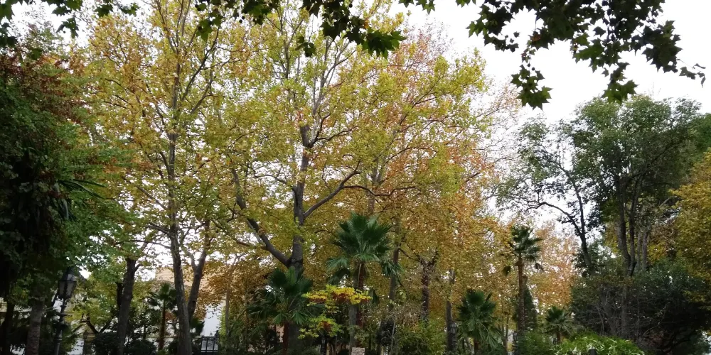 永安旅遊
