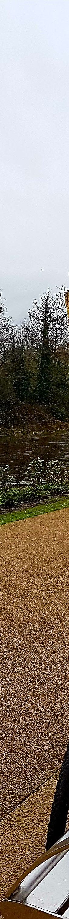 维多利亚公园-贝尔法斯特