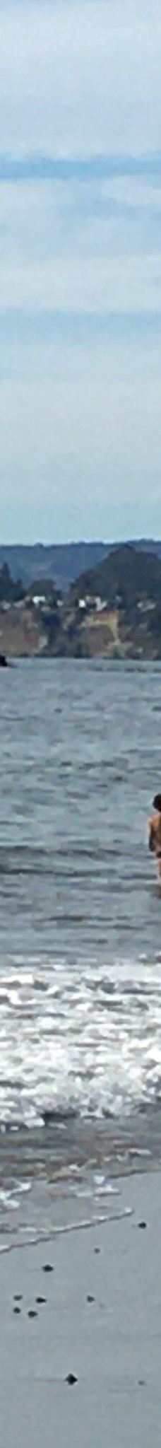 Seacliff State Beach-阿普托斯