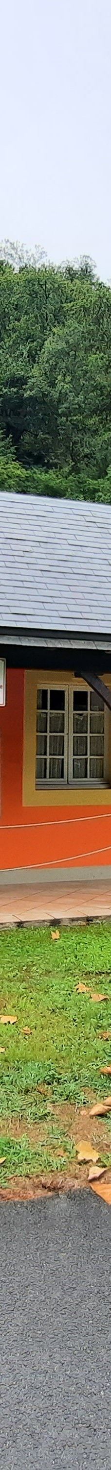 Grottes de Betharram-圣佩德比戈尔