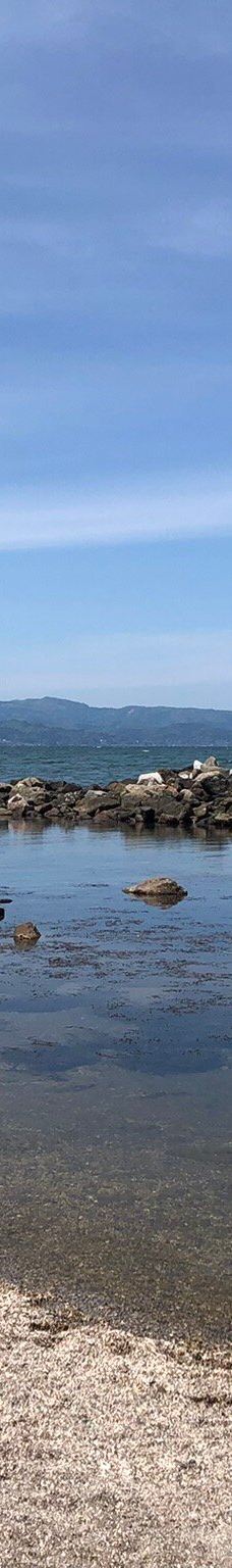雨晴海岸-高冈市