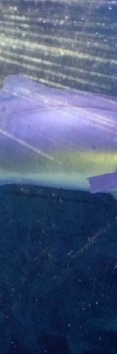 ViaSea水族馆-伊斯坦布尔