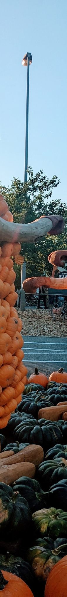 Oskarshausen-Sachsische Schweiz-Osterzgebirge