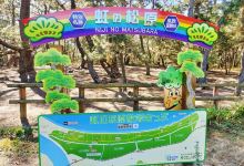 虹之松原景点图片
