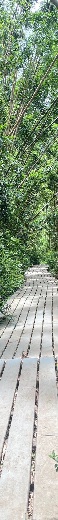 皮皮崴小径-茂宜县