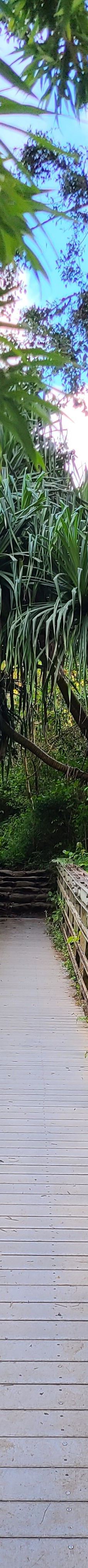 皮皮崴小径-茂宜县