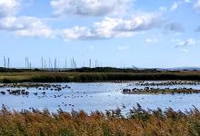 Titchfield Haven National Nature Reserve景点图片