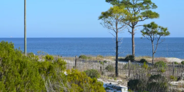 Audubon Bird Sanctuary