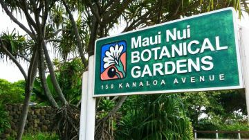 Maui Nui Botanical Gardens