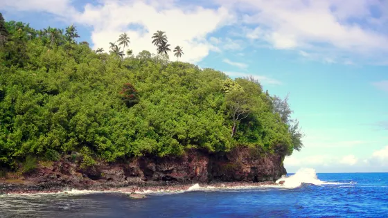 Hakalau Beach
