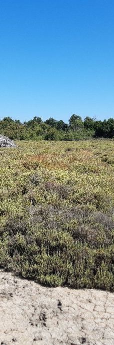 Domaine de la Palissade-阿尔勒