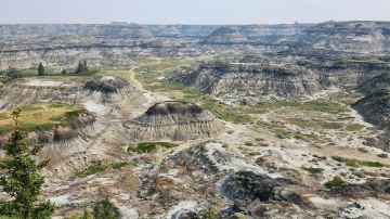 Horseshoe Canyon