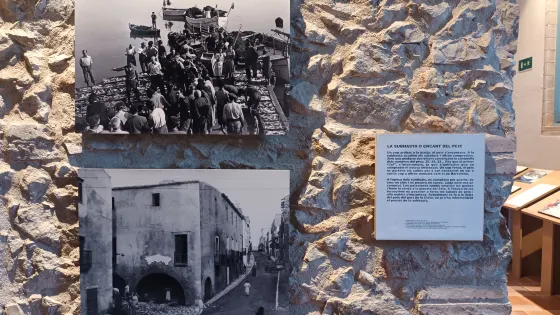 Museu de l'Anxova i de la Sal