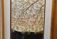 Gallery 1 Sylva景点图片