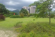 Jardin Botanico de Naguanagua景点图片