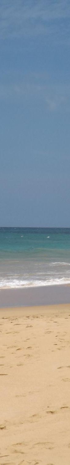 Narigama Beach-希克杜沃