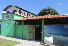 Museu das Tartarugas - ONG Ecoassociados景点图片