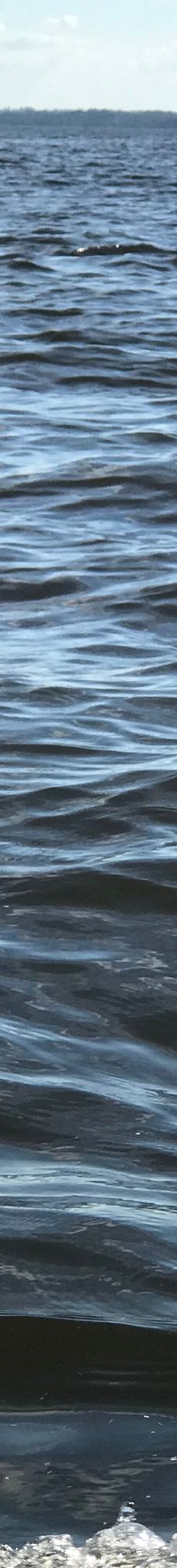 Hakaluki Haor-巴尔勒卡乌帕齐拉